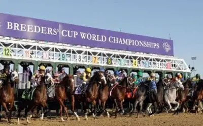 Breeders Cup Day 2 Picks