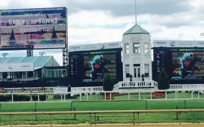 Superfecta Wagering – The Secret to Scooping Superfecta Wagering Pools