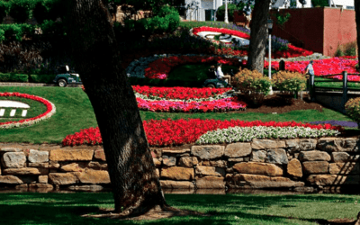 Golf Picks: A Military Tribute at The Greenbrier