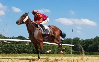 Betting on Horse Racing: A Beginner’s Guide