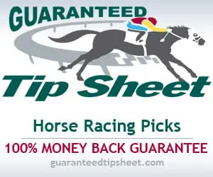 GTS Horse Picks