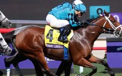 Breeders’ Cup Picks for Saturday, November 3, 2018