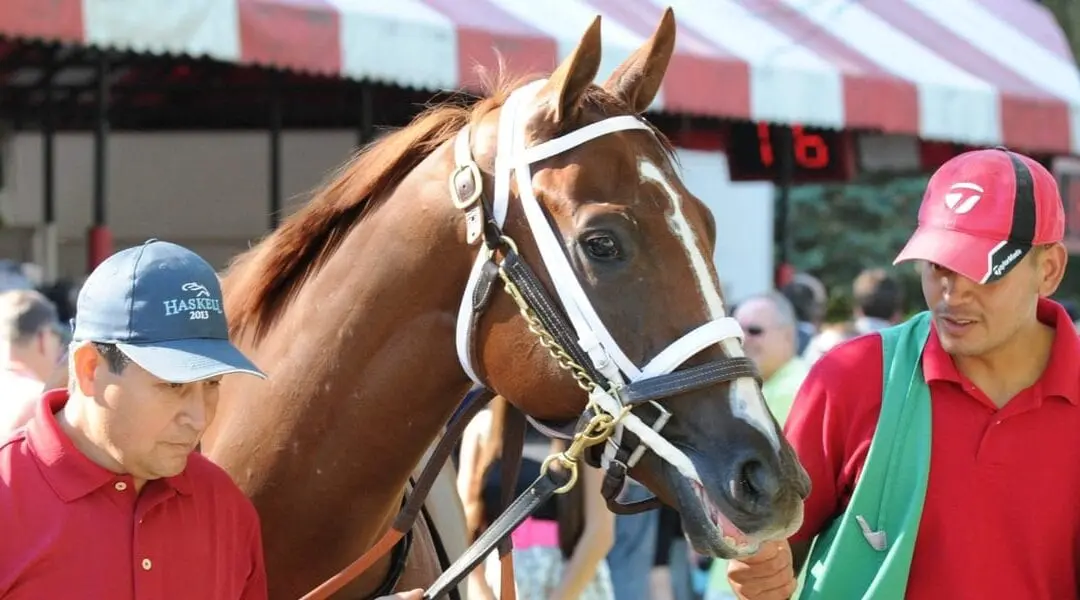 Louisiana Champions Day 2018 Picks