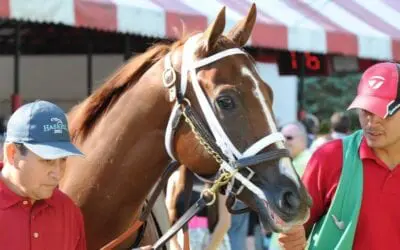 Louisiana Champions Day 2018 Picks