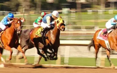 Gulfstream Park with the Sunshine Millions Picks