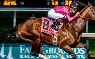 2019 Risen Star Stakes Picks