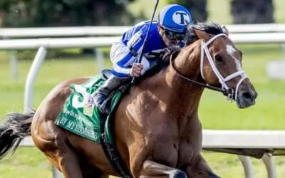 2019 Louisiana Derby Race Recap