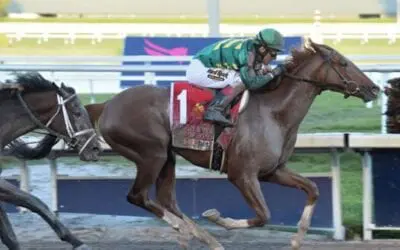 2019 Fountain of Youth Stakes Recap