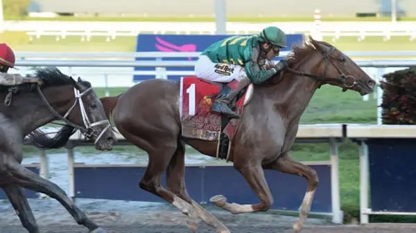 Code of Hnor Winning the Fountain of Youth Stakes