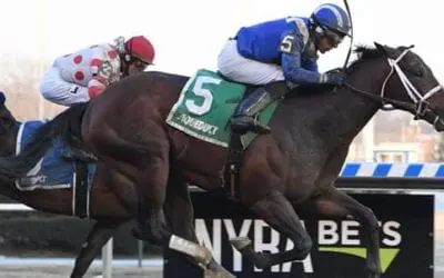 2019 Gotham Stakes Recap