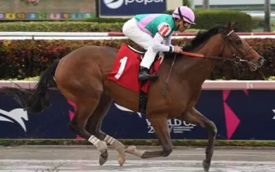 Fountain of Youth Stakes Picks – Derby Prep Predictions