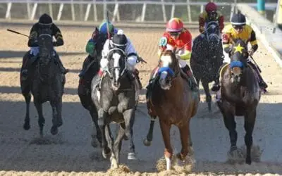 2019 Rebel Stakes Results