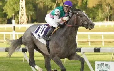 2019 Tampa Bay Derby Recap