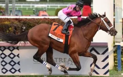 2019 Florida Derby Recap