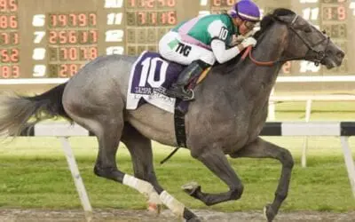 Belmont Stakes Picks 2019