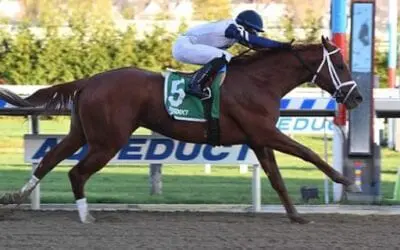 2019 Blue Grass Stakes Picks – Race Predictions