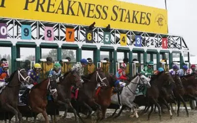 Preakness Stakes Picks 2019