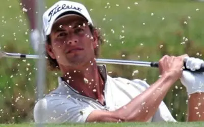 The Northern Trust Picks