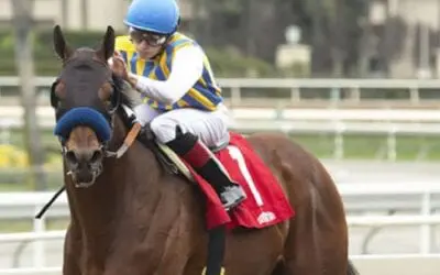 San Vicente Stakes Picks – Race Analysis