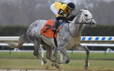 2020 Louisiana Derby Race Analysis & Predictions