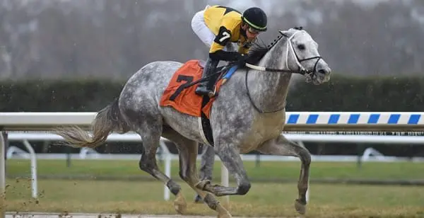 2020 Louisiana Derby Race Analysis & Predictions