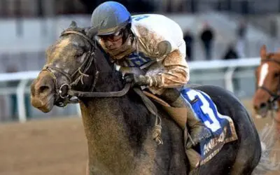 Derby Prep Race Picks: Gotham, Tampa Bay Derby, San Felipe