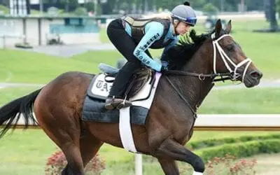 Arkansas Derby Analysis & Predictions