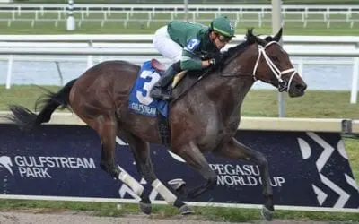 Belmont Stakes Picks, Analysis, and Top Contenders