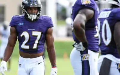 Ravens Season Win Bet  – Odds & Predictions