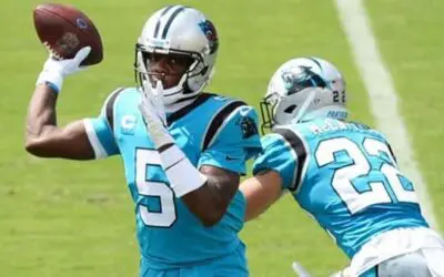 Arizona Cardinals vs. Carolina Panthers Odds & Predictions