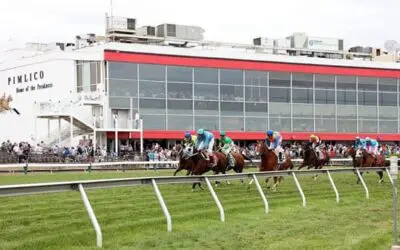 Mage the Horse to Beat in 148th Preakness Stakes, Perform the Longshot