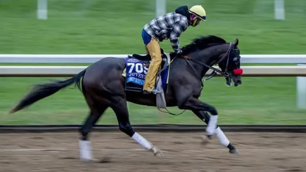 Louisiana Derby Race Analysis & Selections