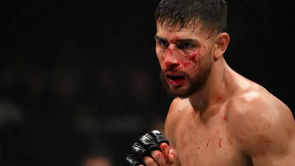 UFC Fight Night: Holloway vs. Rodriguez Picks