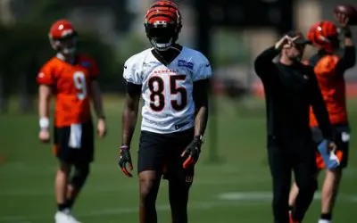 Home Dog Value Pick: Vikings vs. Bengals