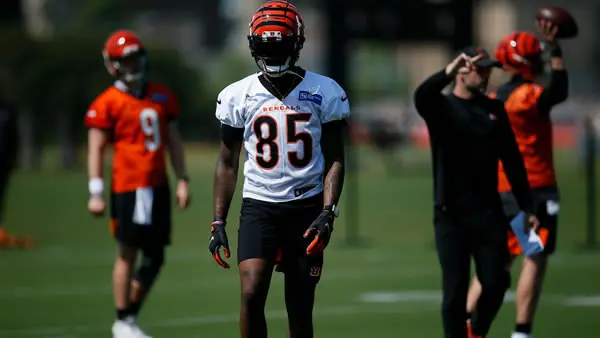 cincinnati-bengals-tee-higgins-lrg Tee Higgins Cincinnati Bengals WR