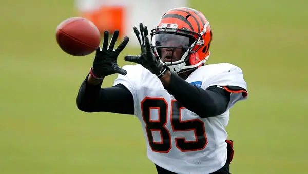 cincinnati-bengals-tee-higgins-2 Tee Higgins Bengals WR