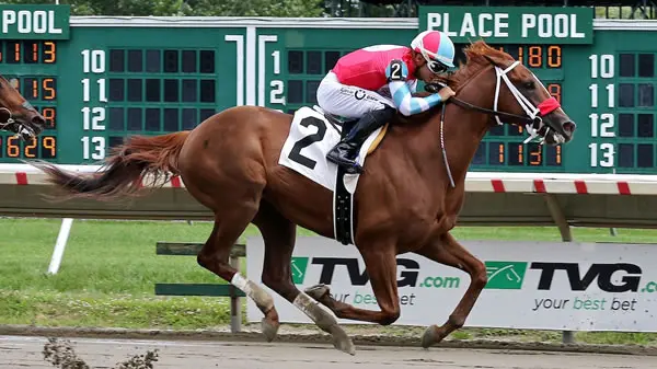 in-due-time-horse In Due Time