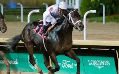 Tampa Bay Derby Race Analysis & Picks