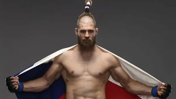 Teixeira vs. Prochazka Fight Analysis & Picks