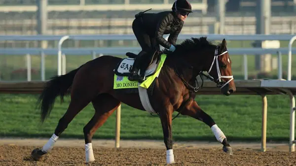 mo-donegal-racehorse Mo Donegal 2022 kentucky Derby Contender