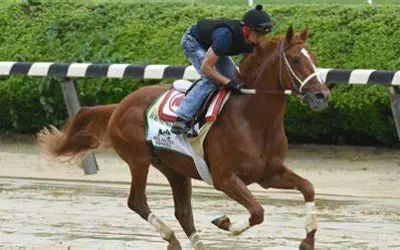 2022 Belmont Stakes Picks and Analysis