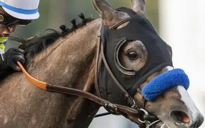 Saturday’s Race Card Features the Grade 2 Rebel Stakes at Oaklawn Park