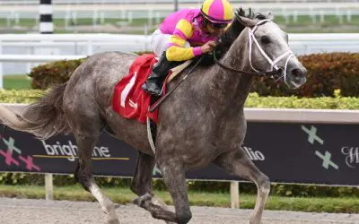 Predicted Top Three Finishers for the Upcoming Haskell Stakes