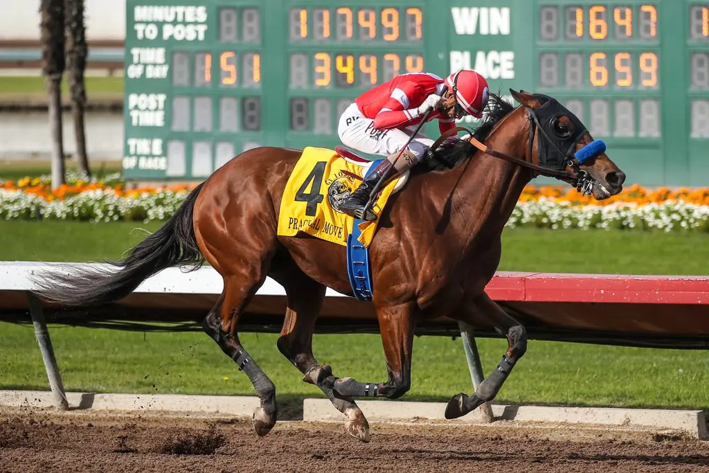 Practical Move Racehorse
