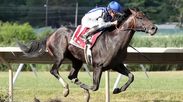 Expert Selections for the 2023 Pacific Classic at Del Mar Race Track