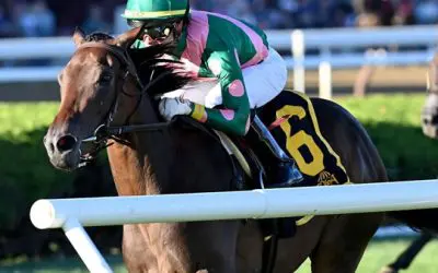 Expert Selections for Saturday’s Prestigious QE II Challenge Cup