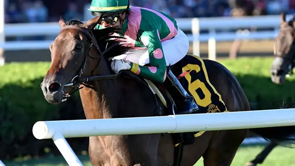 Expert Selections for Saturday’s Prestigious QE II Challenge Cup