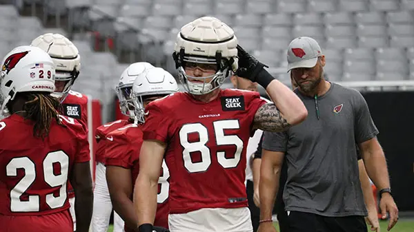 Falcons vs. Cardinals Prediction ATS for Week 10