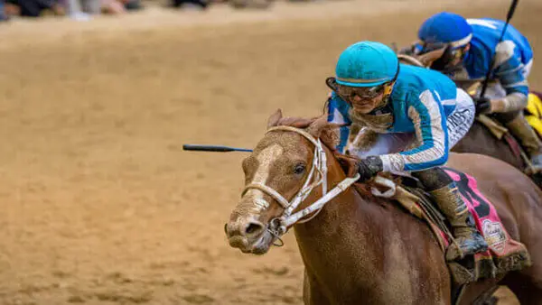 Shiloh’s Mistress the Pick in Honeymoon at Santa Anita