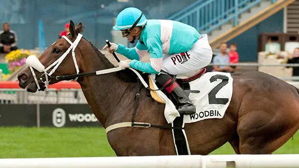 Betting Against the Favorite: La Prevoyante Stakes Picks